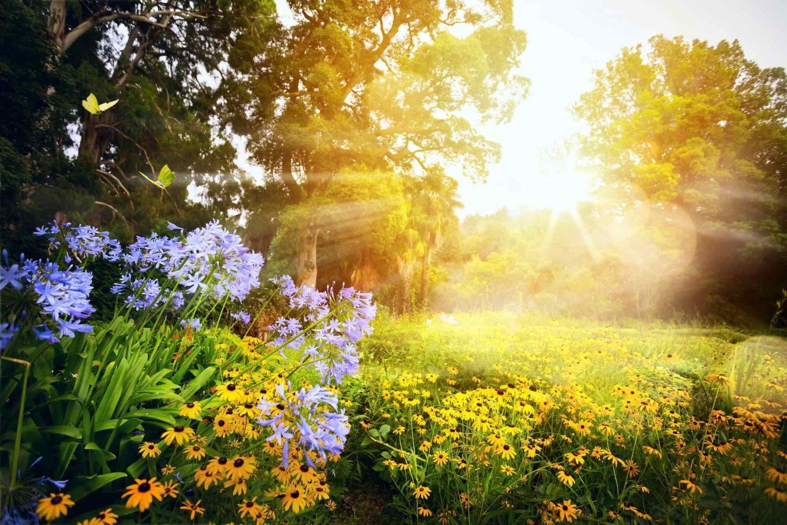 Scent-sational: The Most Popular Summer Home Fragrances - New Dawn UK