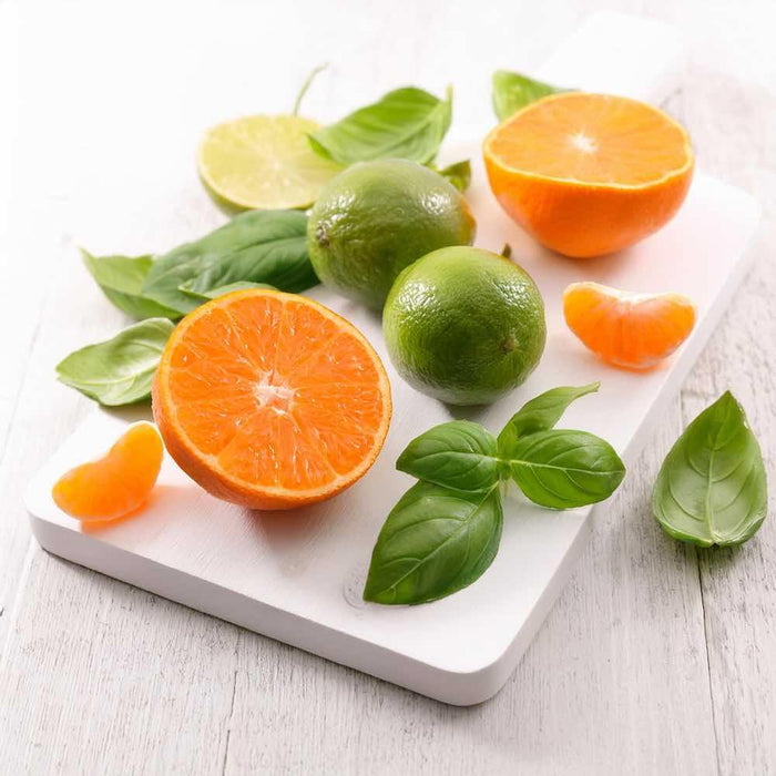 Lime Basil & Mandarin Diffuser Refill - New Dawn UK