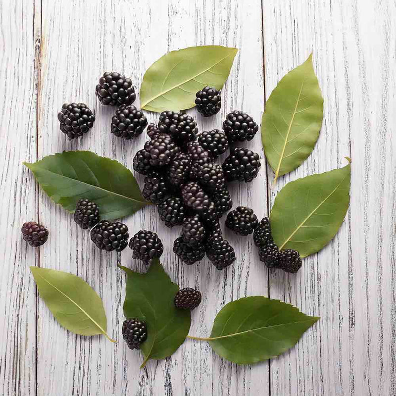 Blackberry and Bay Room Spray