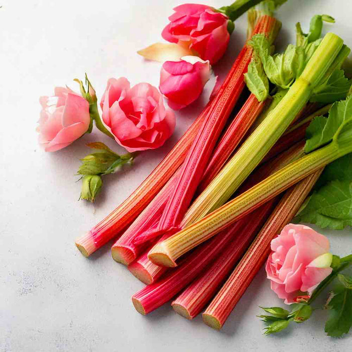 Rhubarb and Rose Room Spray 100ml