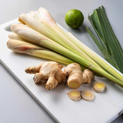 Lemongrass & Ginger Fragrance Reed Diffuser