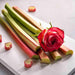 Rhubarb and Rose Fragrance Reed Diffuser